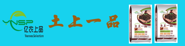 土上一品选择.gif