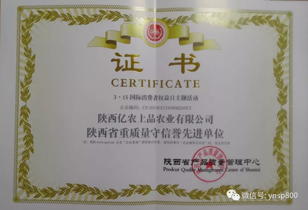 重质量单位1.webp.jpg