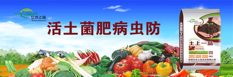 土上一品.gif