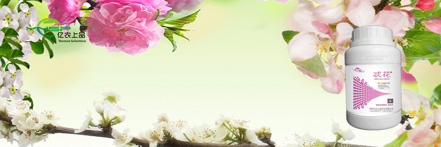 忒花2.gif