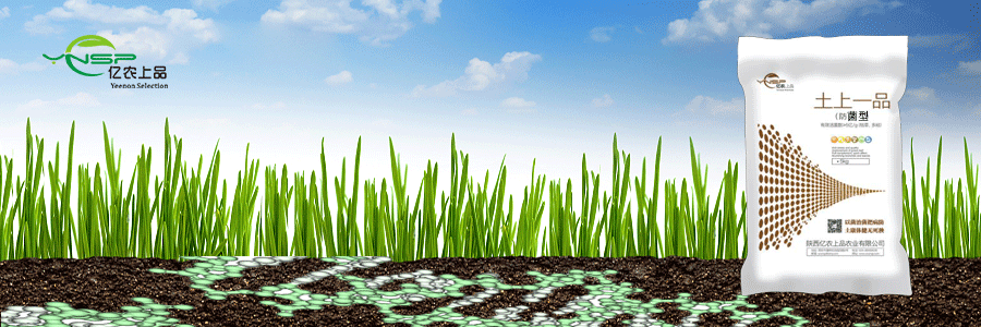1581597457525626.gif 防菌.gif